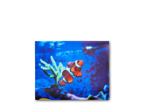 Affiches