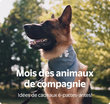Mois des animaux de compagnie
