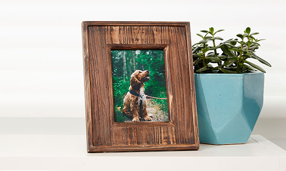 Frames & Decor