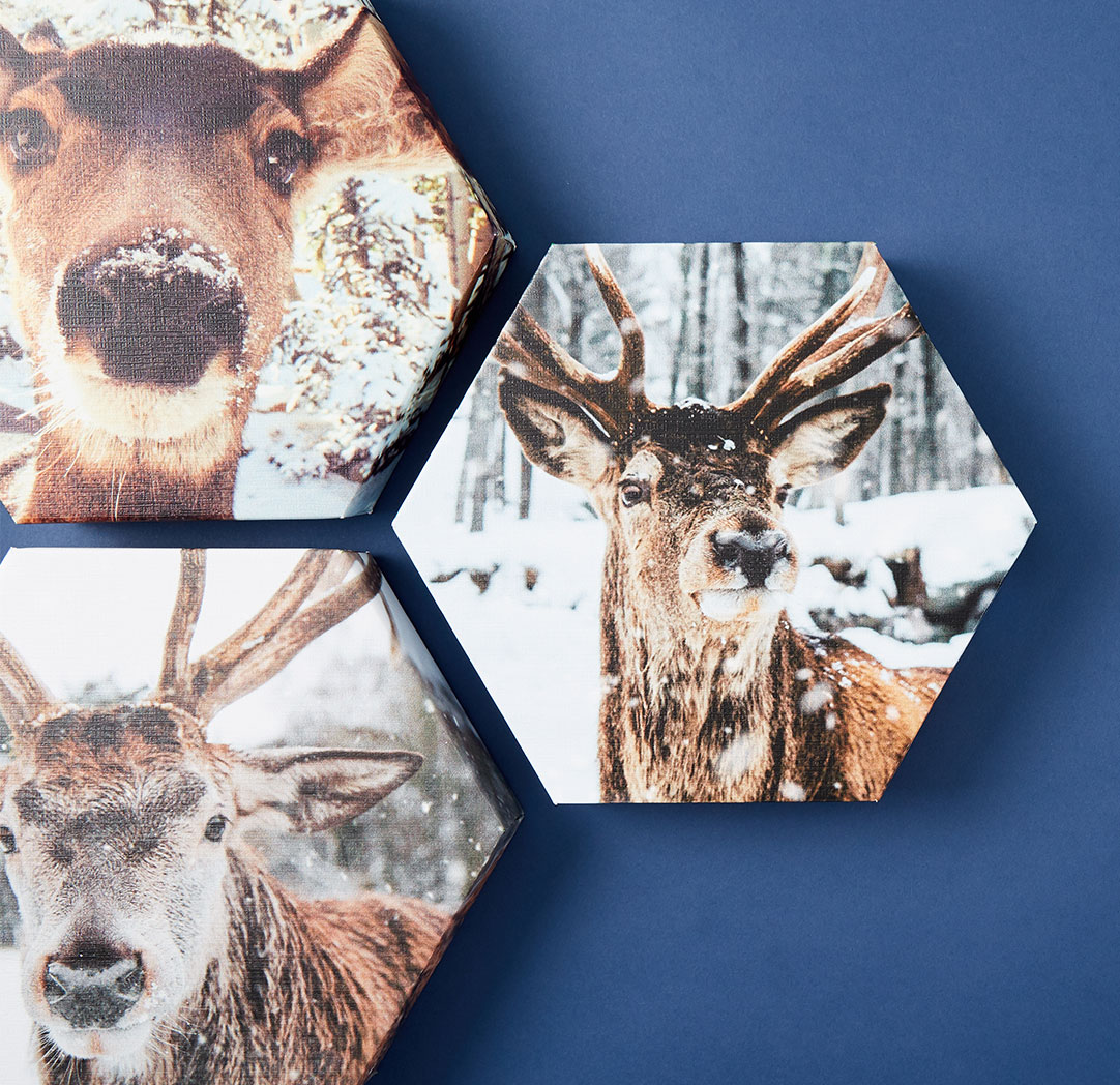 Photo sur toile hexagonale de 10 x 10 po