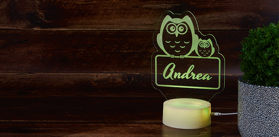 Personalized Cracked White LED Sign - Owls