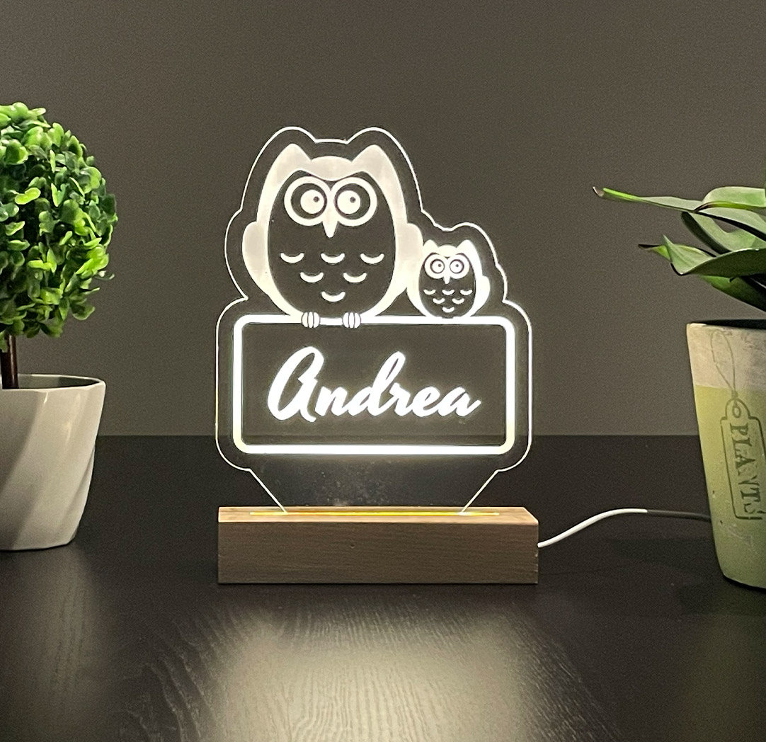 Panneau long à DEL personnalisé en bois - Hiboux