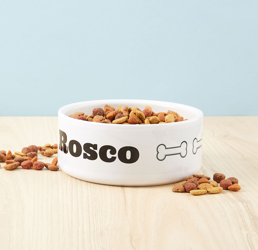 Bols pour animaux