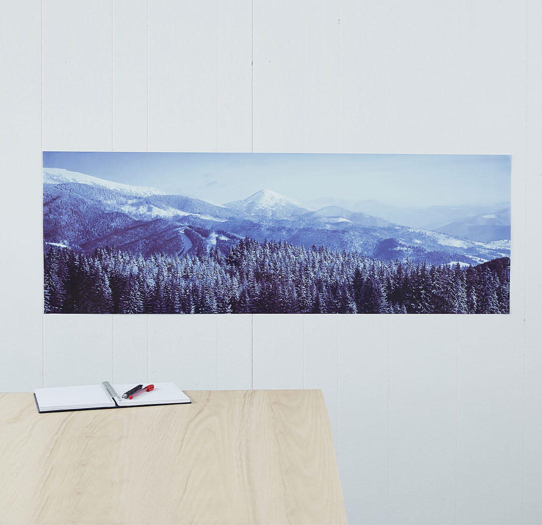 Panorama de 18 x 54 pouces