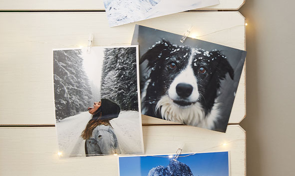 Fujifilm Spark Prints