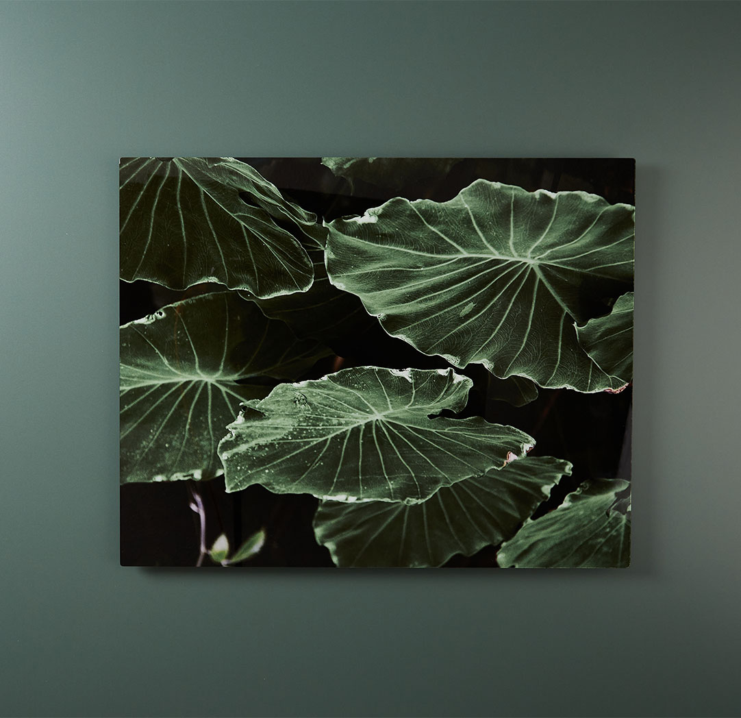 Photos sur plaque de métal de 16 x 20 po