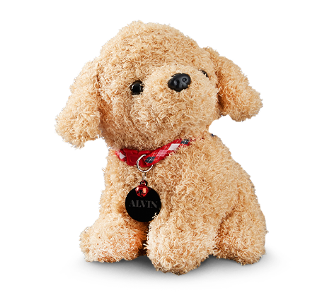 Chien en peluche personnalisé - Caramel