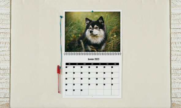 Calendriers muraux