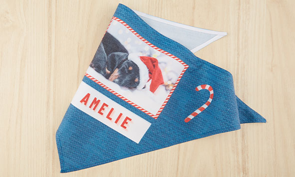 Foulards pour animaux