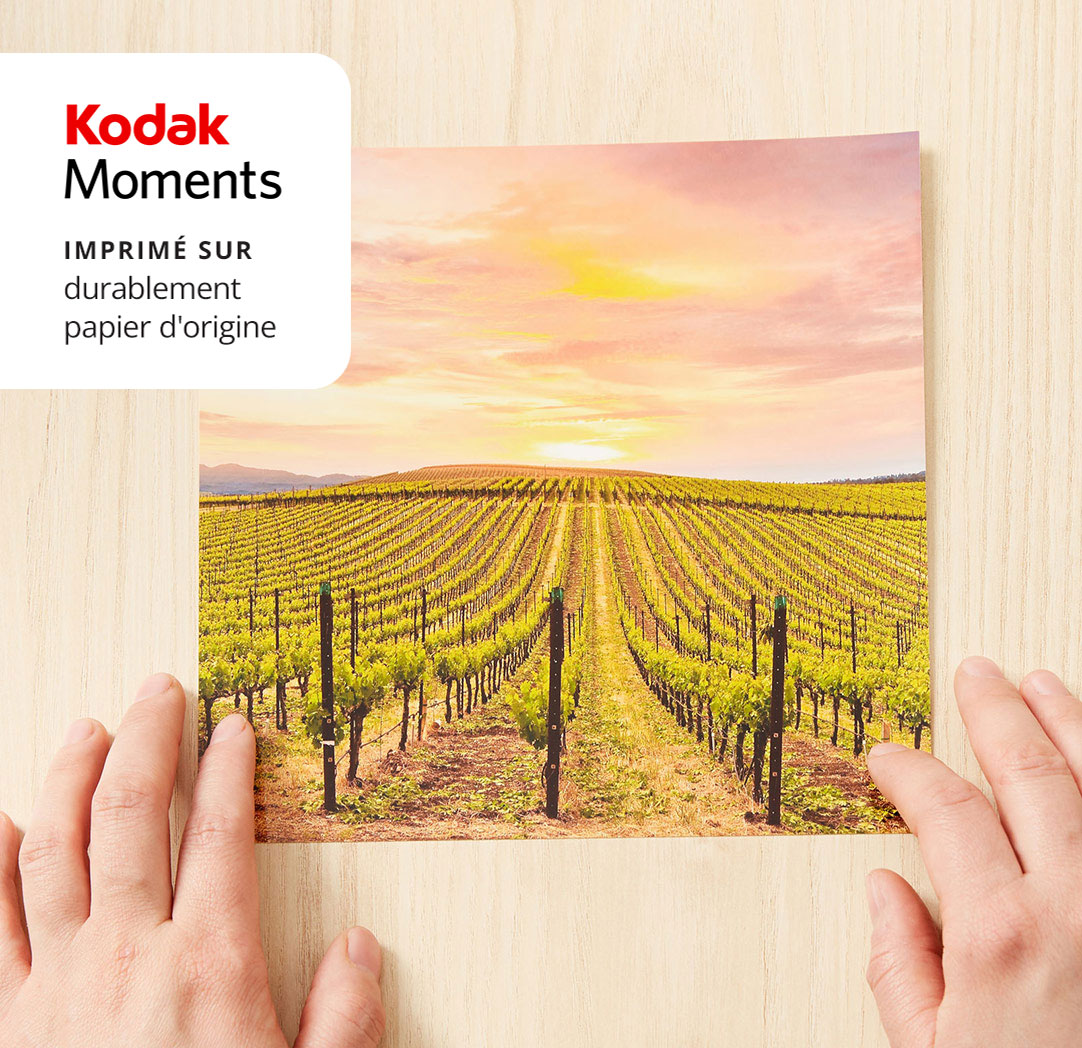 Impressions de 8 x 8 po prêtes le lendemain