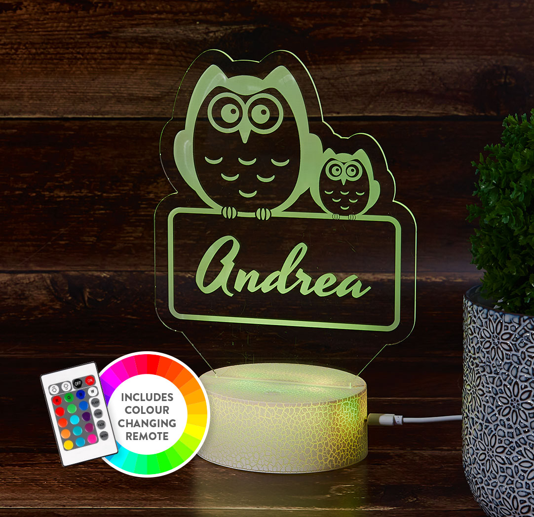 Personalized Cracked White LED Sign - Owls