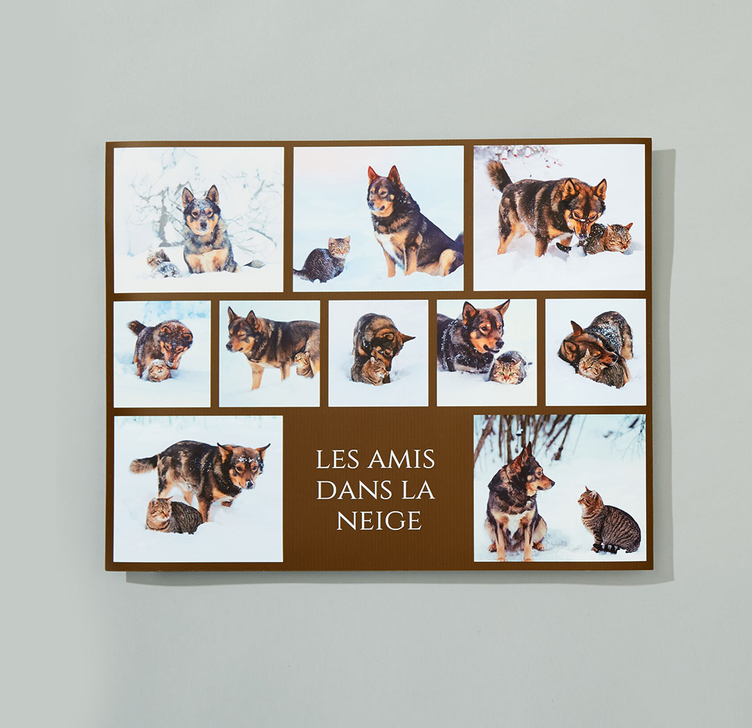 Affiches prêtes le lendemain de 11 x 14 po