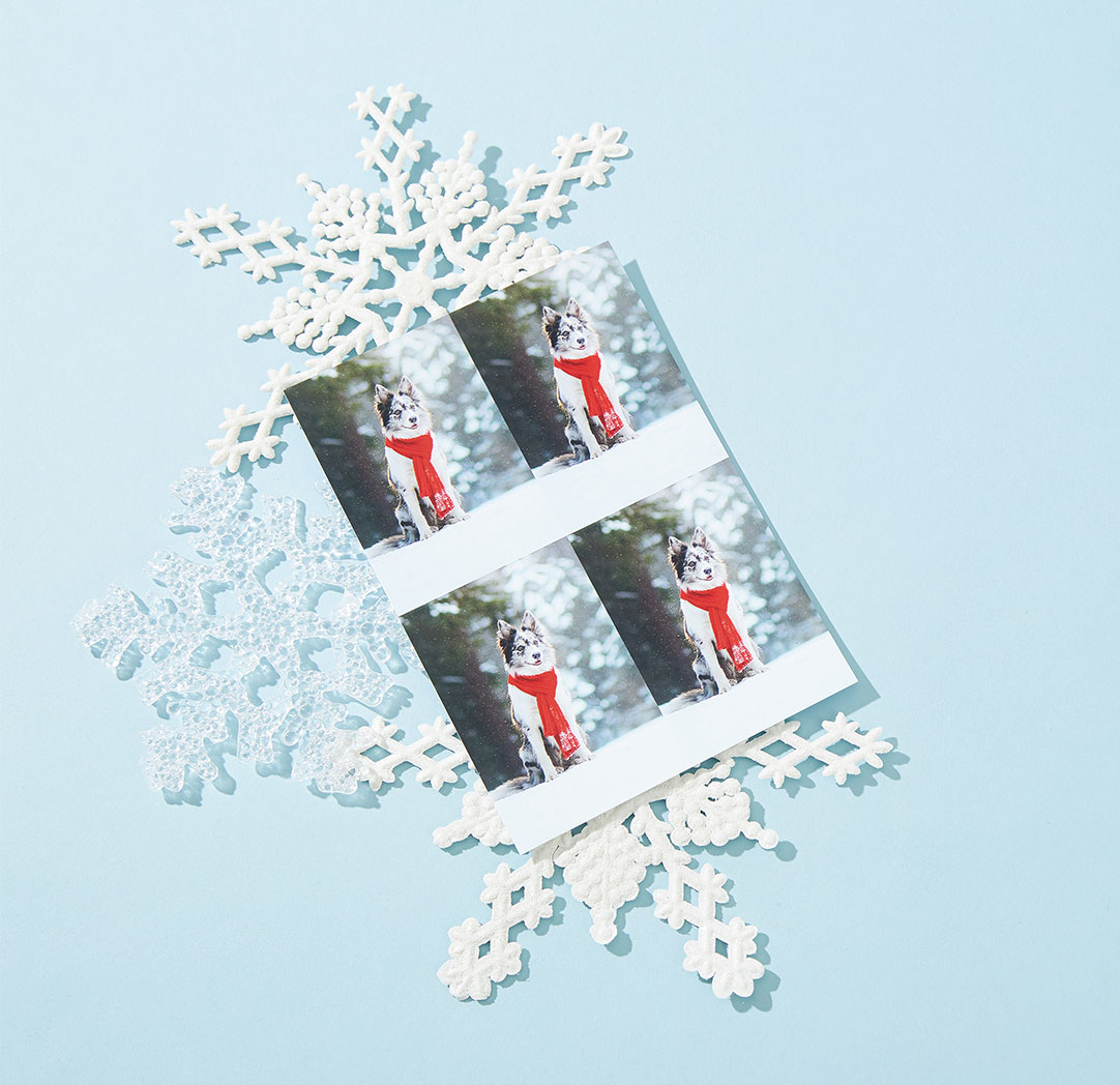 Photos portefeuille de 2 x 3 po (jeu de 4)