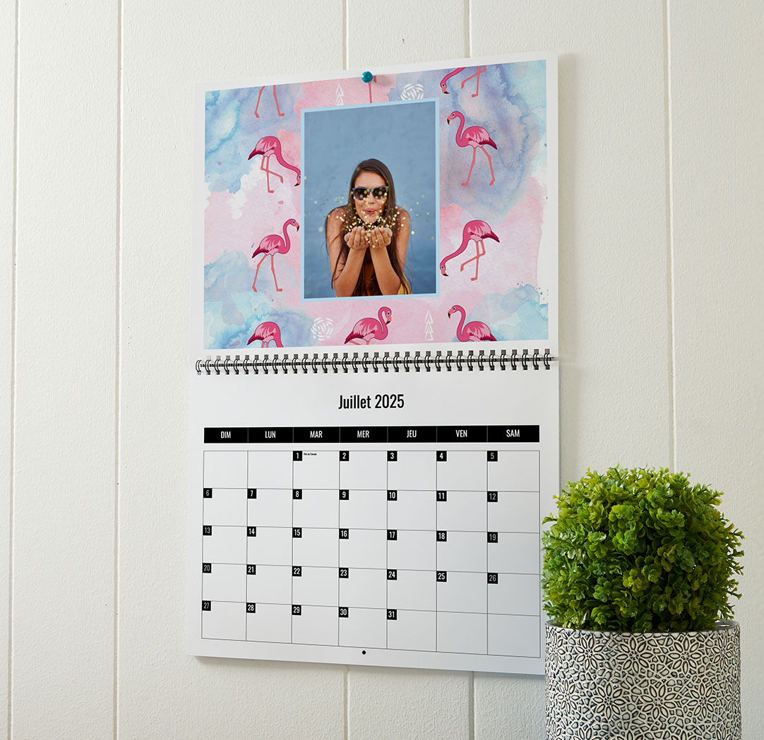 Calendrier mural emoji®