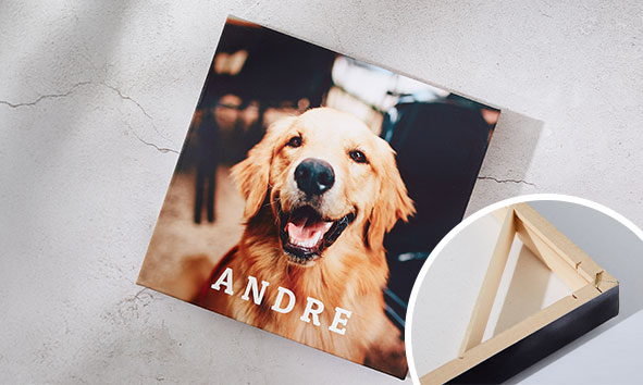 Photos sur toile express