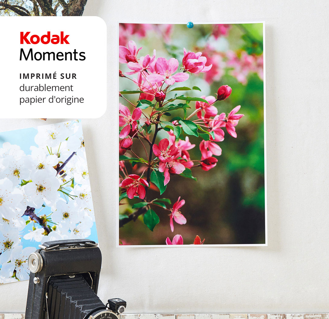 Impressions de 8 x 12 po prêtes le lendemain