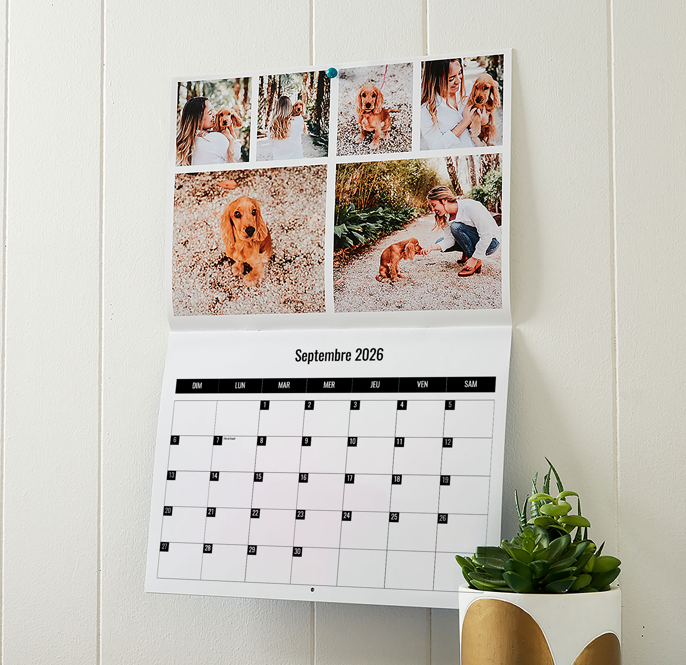 Calendrier économique de 9 x 12 po