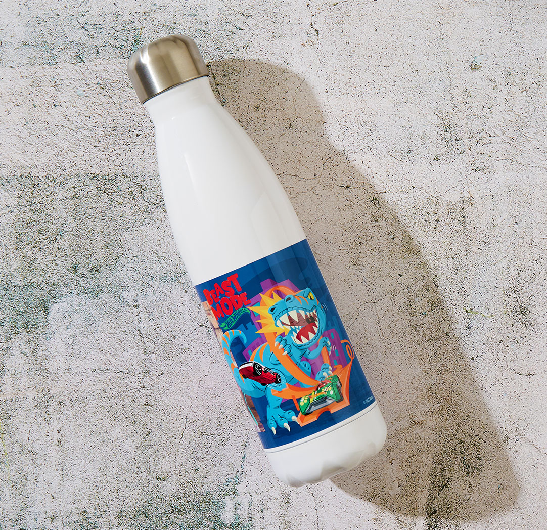 Hot Wheels™  Everyday Bottle