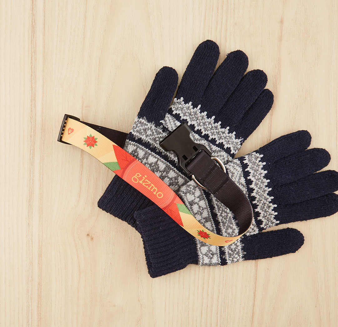 Grand collier pour animaux