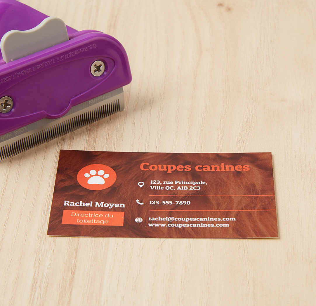 Cartes professionnelles 12 pt, impression un côté