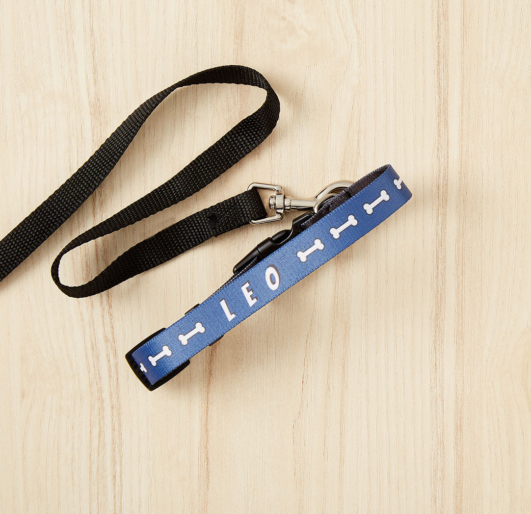 Pet Collars
