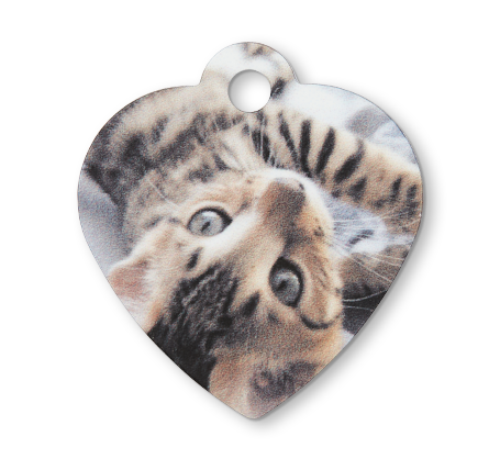 Pet Tag - Heart