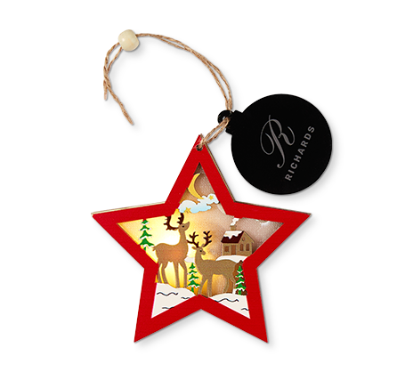 Personalized LED Ornament - Star
