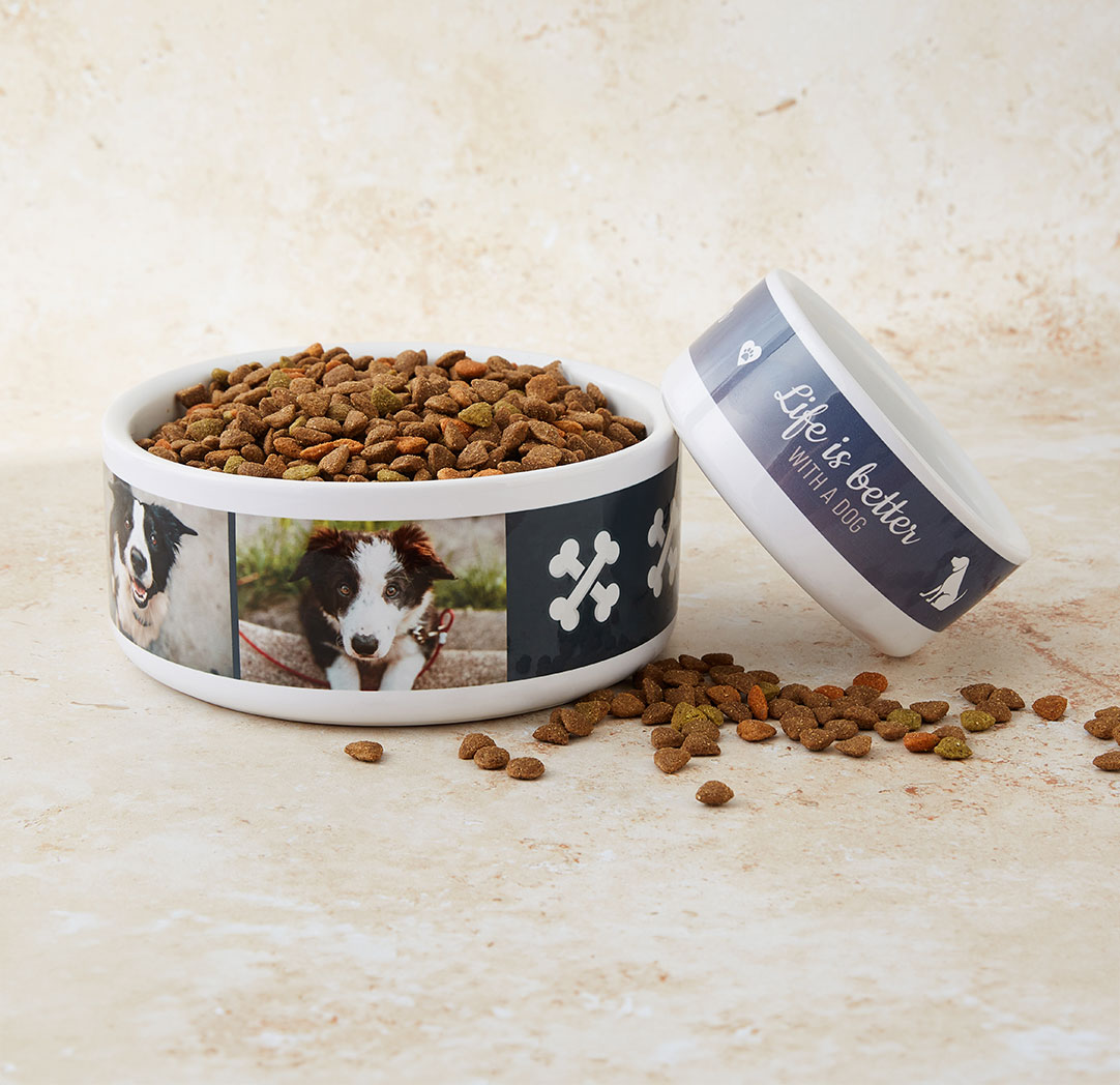 Pet Bowls