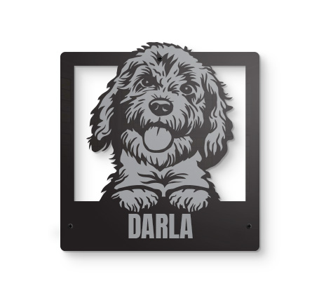 Goldendoodle