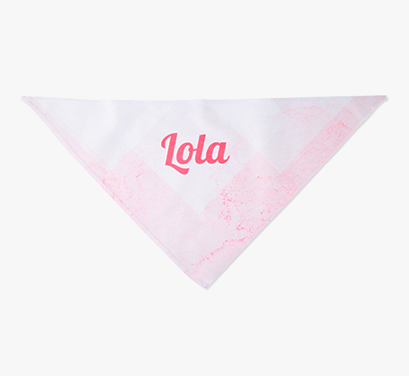 Foulards pour animaux