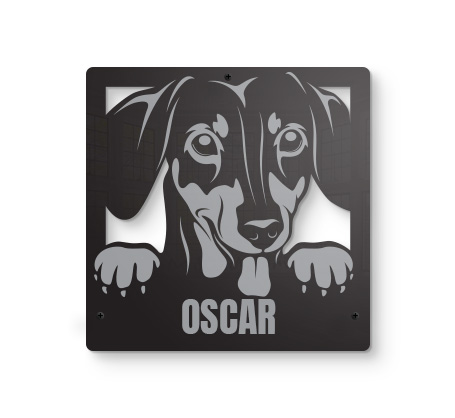 Dachshund