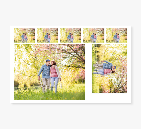 Ensembles de portraits