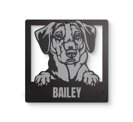 Beagle