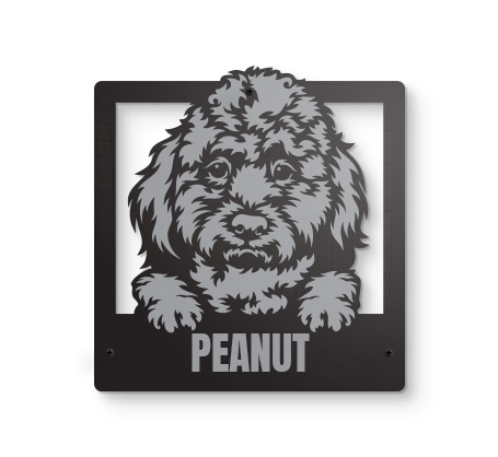 Labradoodle