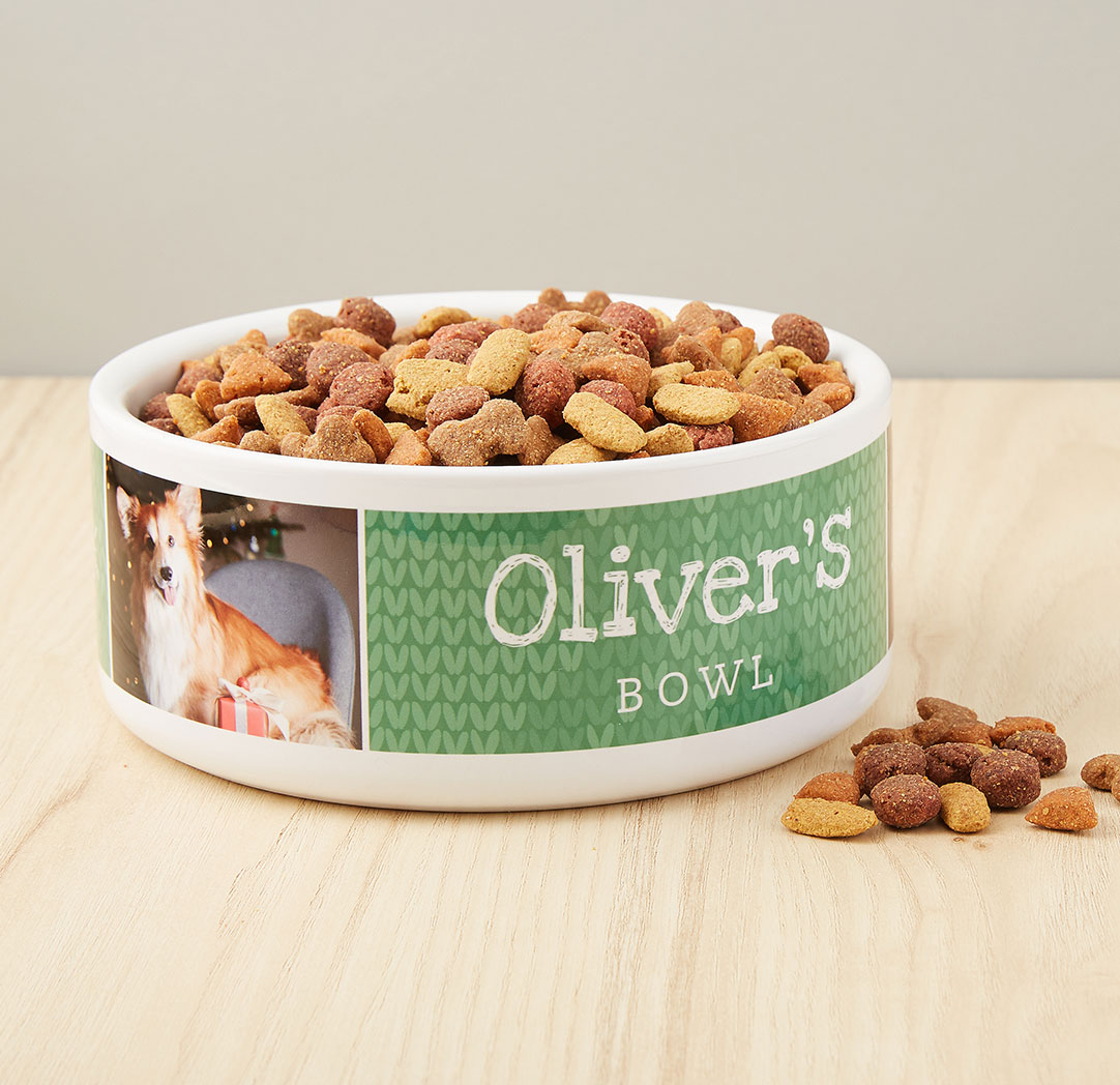39oz. Pet Bowl