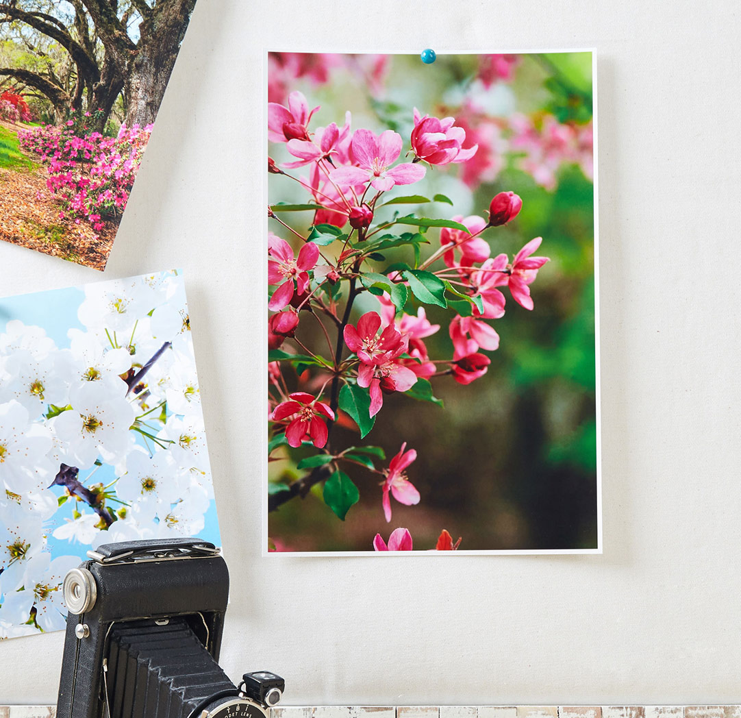 Next Day Prints Walmart Photo Centre