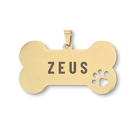 Bone Stainless Steel Pet Tag - Gold Colour
