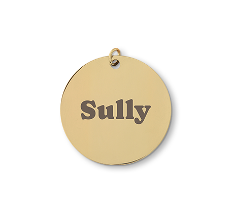 Round Stainless Steel Pet Tag - Gold Colour