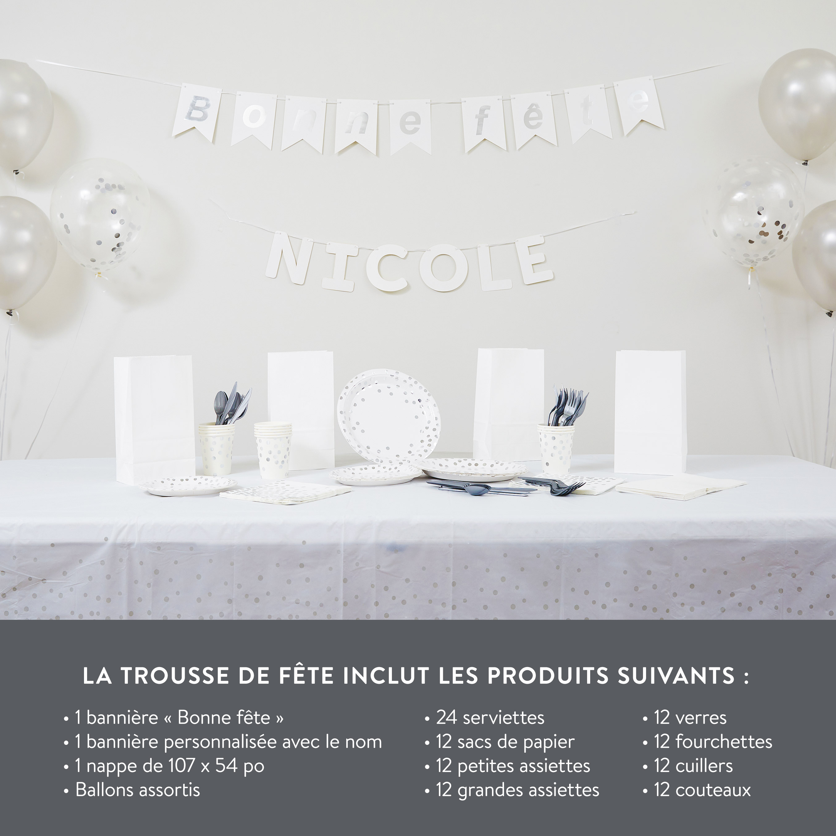 Blanc et argent - Trousse de fête