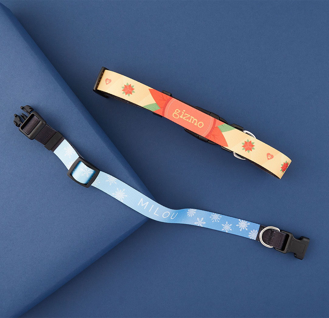 Pet Collars