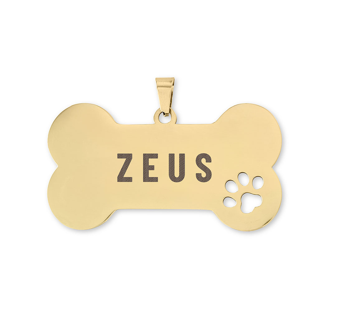 Bone Stainless Steel Pet Tag - Gold Colour