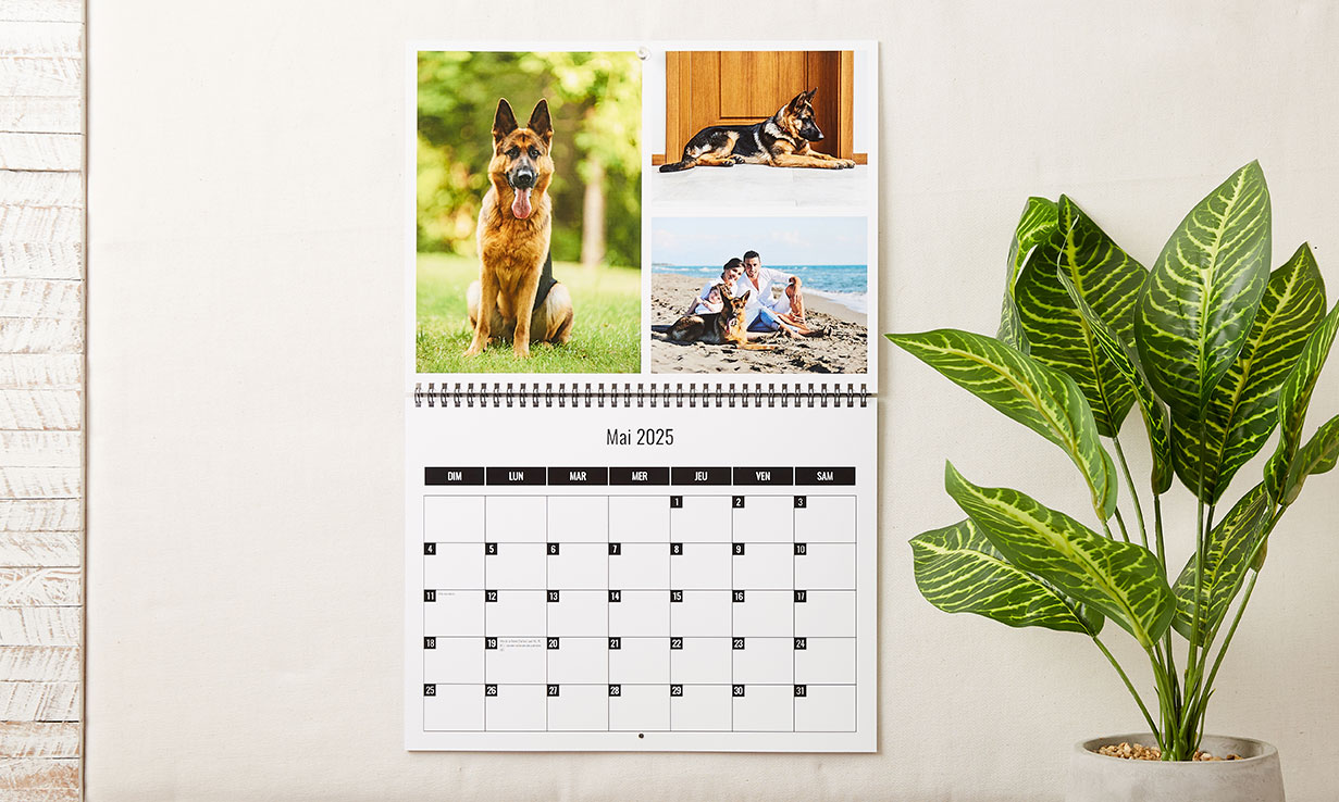 Calendriers muraux