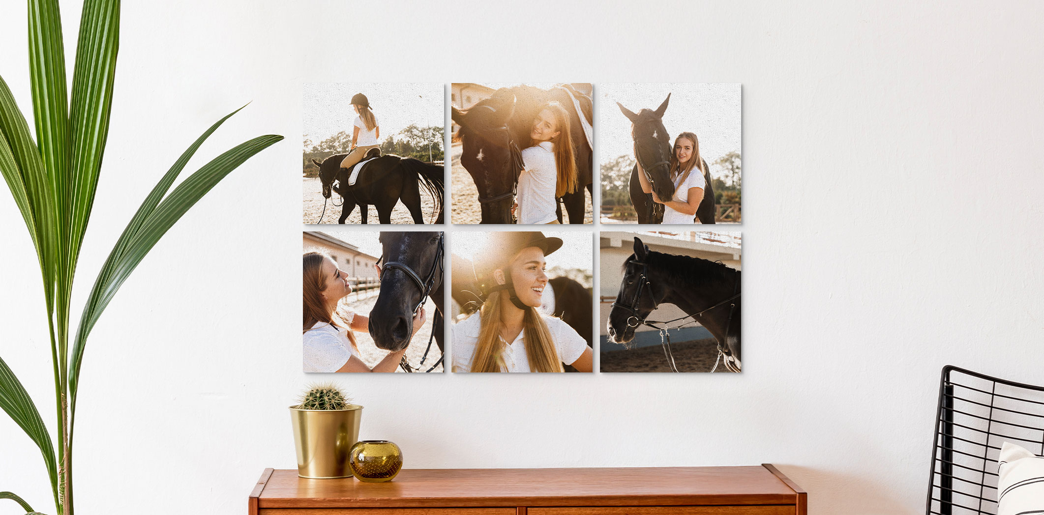 12x12 Premium Canvas - Set of 6