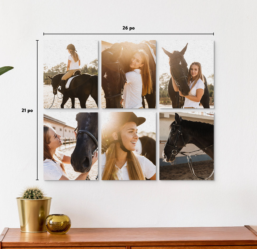 Photo sur toile prestige 8 x 10 po - Ensemble de 6