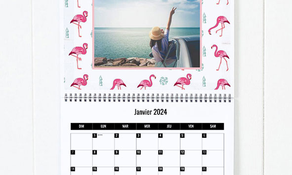 Calendrier mural emoji®