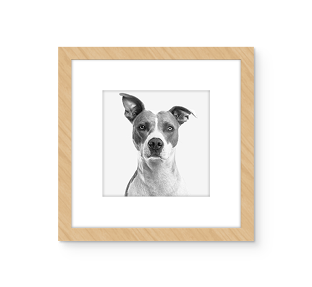 12x12 Wood Framed Spark Poster