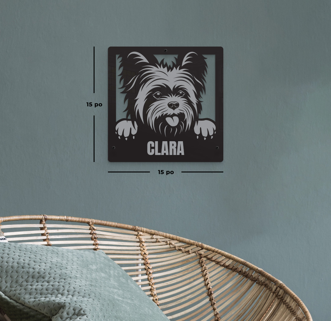 Terrier du Yorkshire