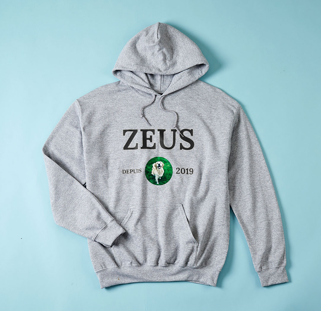 Chandail à capuchon gris (petit)