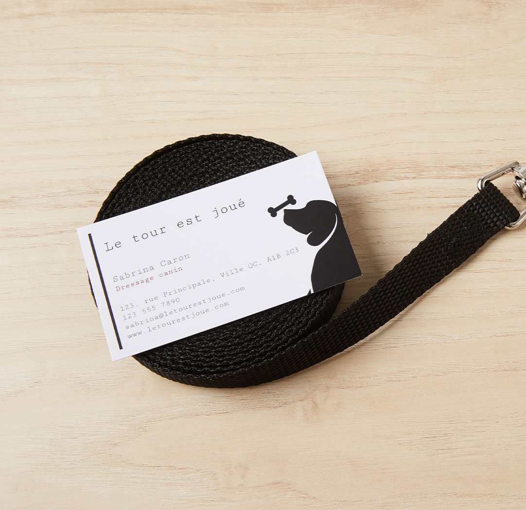 Cartes professionnelles 16 pt, impression un côté