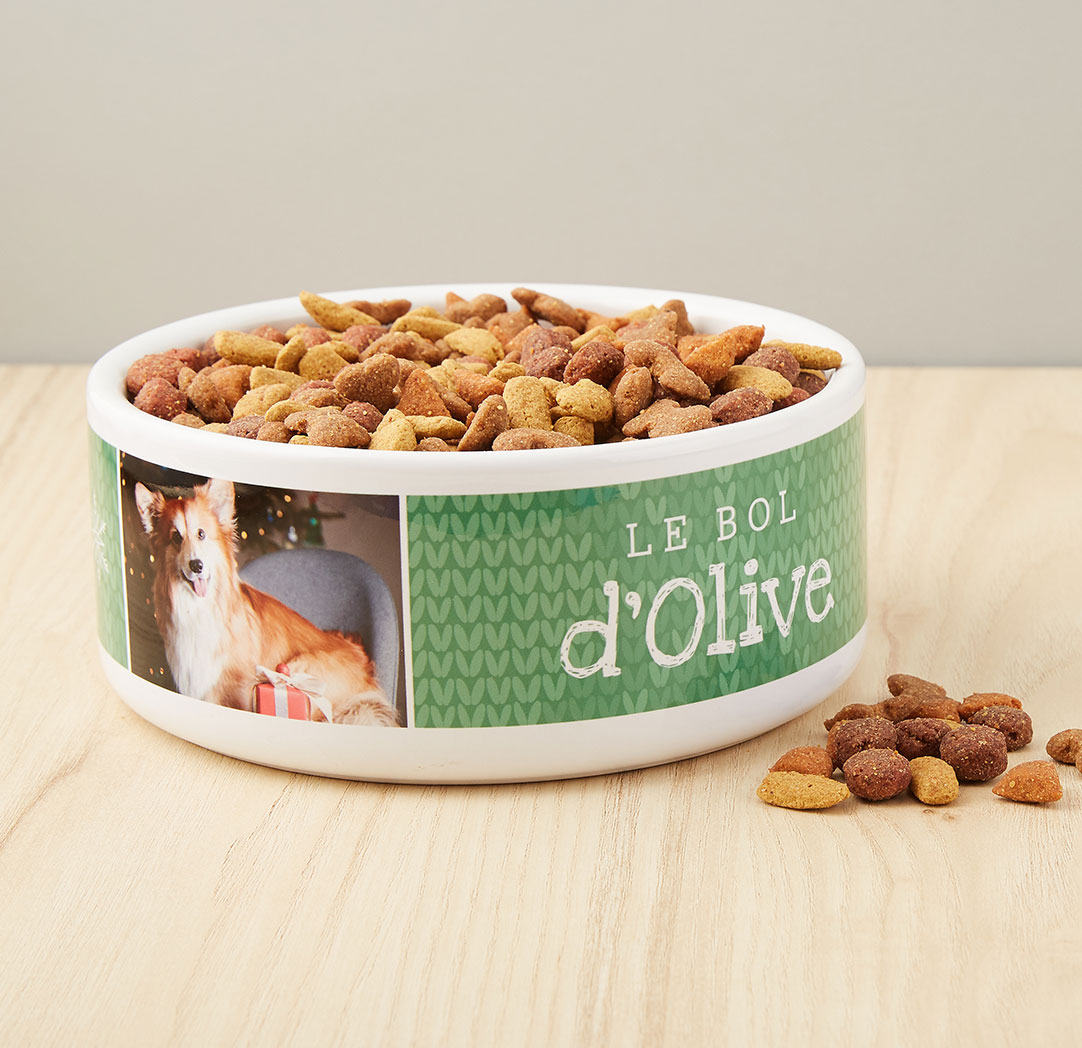 Bol de 39 oz pour animal domestique